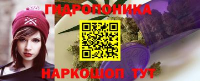 дживик Ставрополь