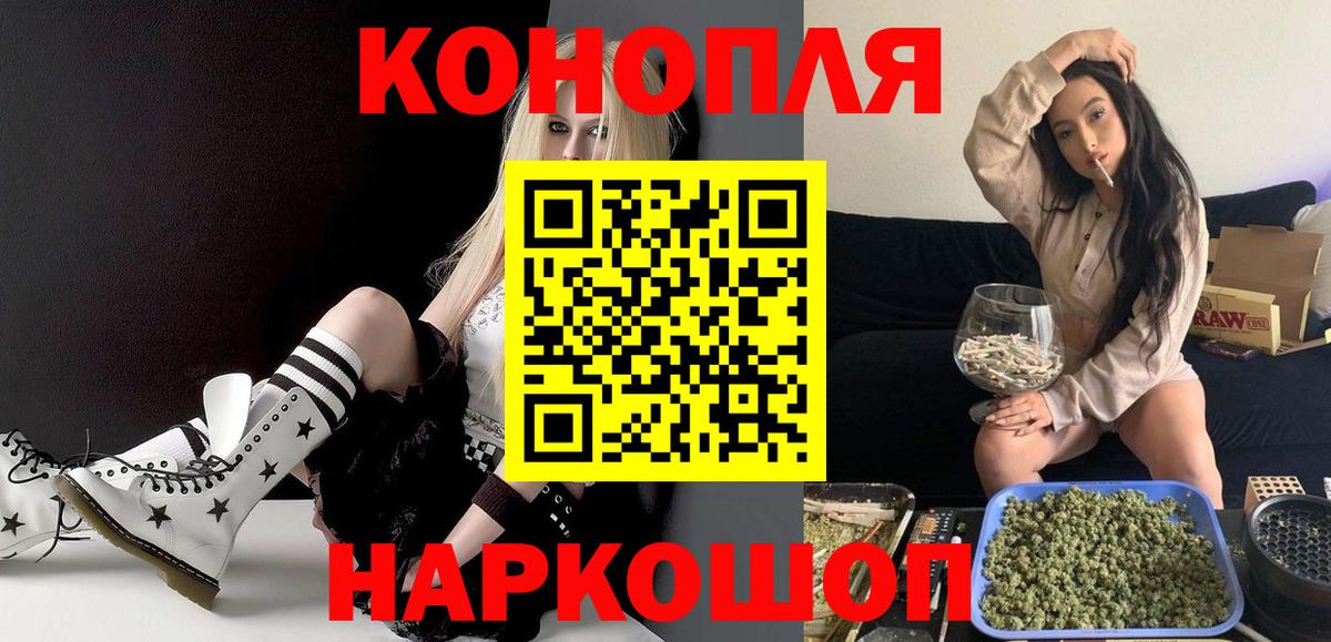 Конопля гибрид Алексин
